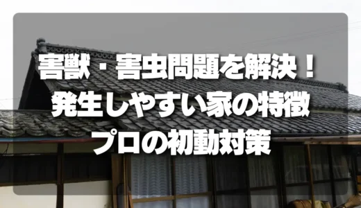 【放置厳禁】空き家の害獣・害虫問題を解決！発生しやすい家の特徴とプロの初動対策