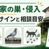 空き家のスズメバチ・鳩・野良猫対策の危険サインと相談目安
